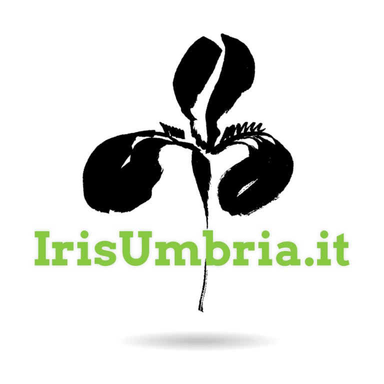 larger-logo-correct-colour